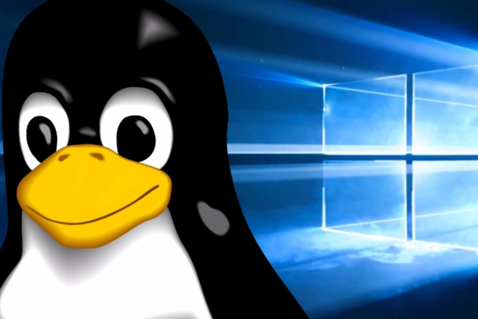 É possível trocar o Windows pelo Linux?